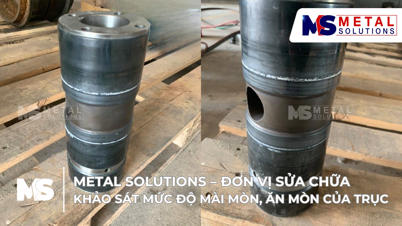 khao-sat-muc-do-mai-mon-an-mon-cua-truc