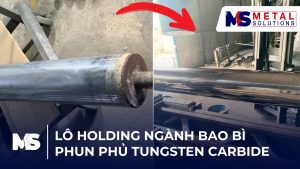 lo-holding-nganh-bao-bi