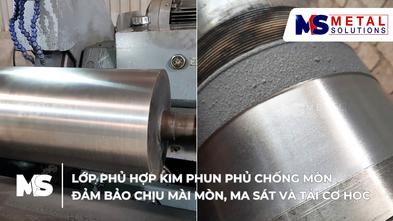 lop-phu-hop-kim-chong-mon-truc-nghien-bot