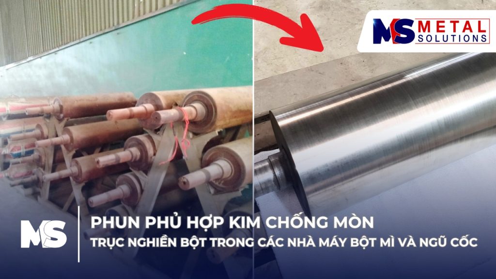 phun-phu-hop-kim-chong-mon-truc-nghien-bot