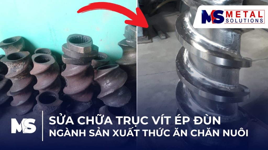 Sửa chữa cơ khí – Phục hồi trục vít ép đùn ngành thức ăn chăn nuôi bằng công nghệ phun phủ chống mài mòn