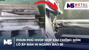 lo-ep-ban-in-nganh-bao-bi