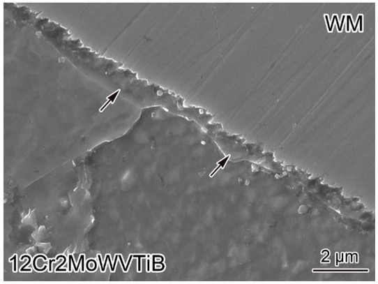 anh-sem-cua-vung-bien-gioi-ni-fe