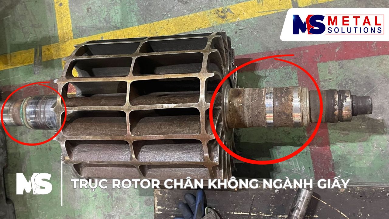truc-rotor-chan-khong-nganh-giay