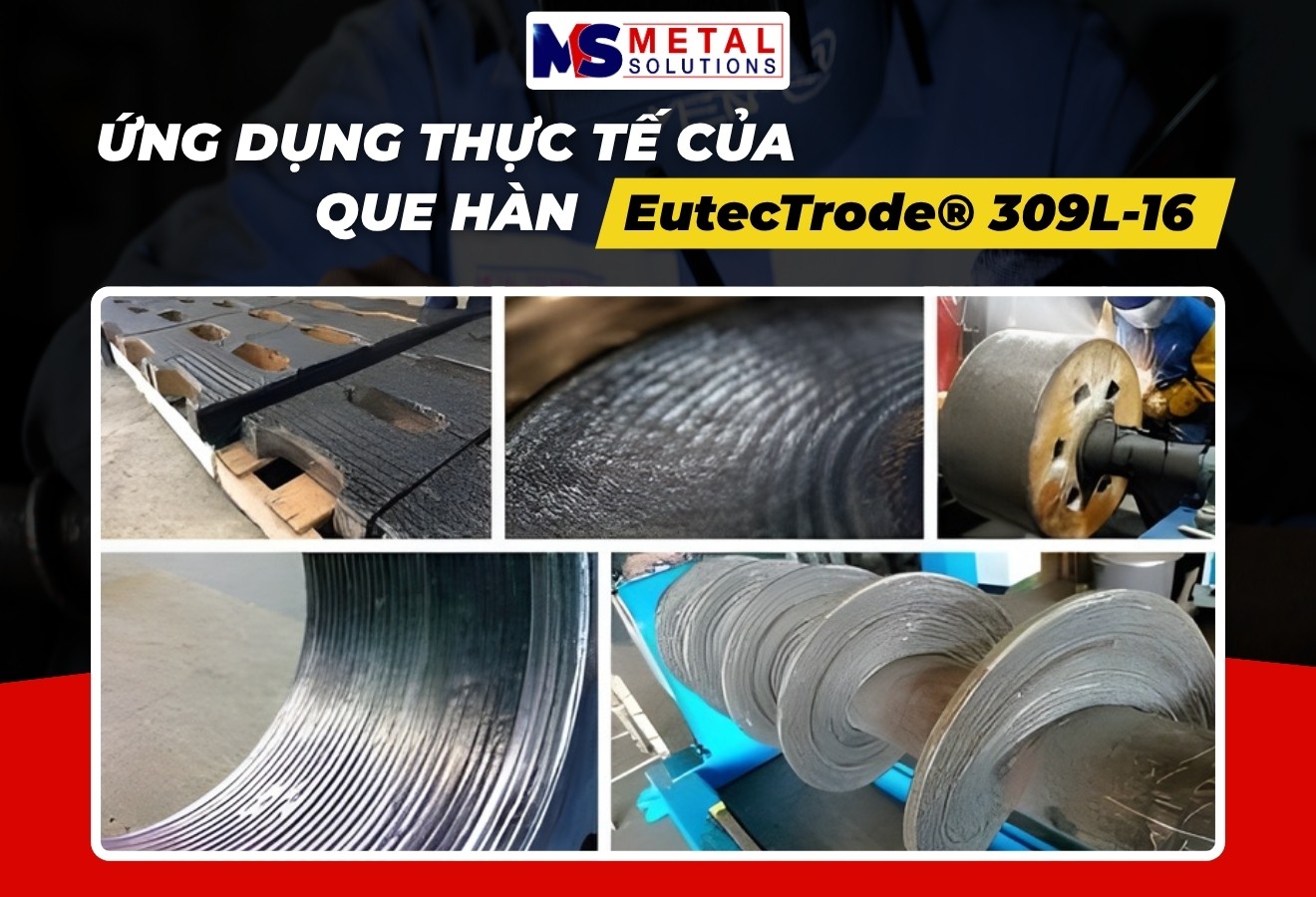 ung-dung-thuc-te-309l-16