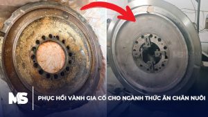 phuc-hoi-vanh-gia-co